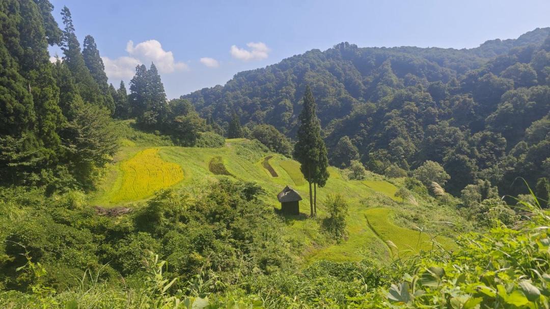 Photo of Others in Tokamachi
