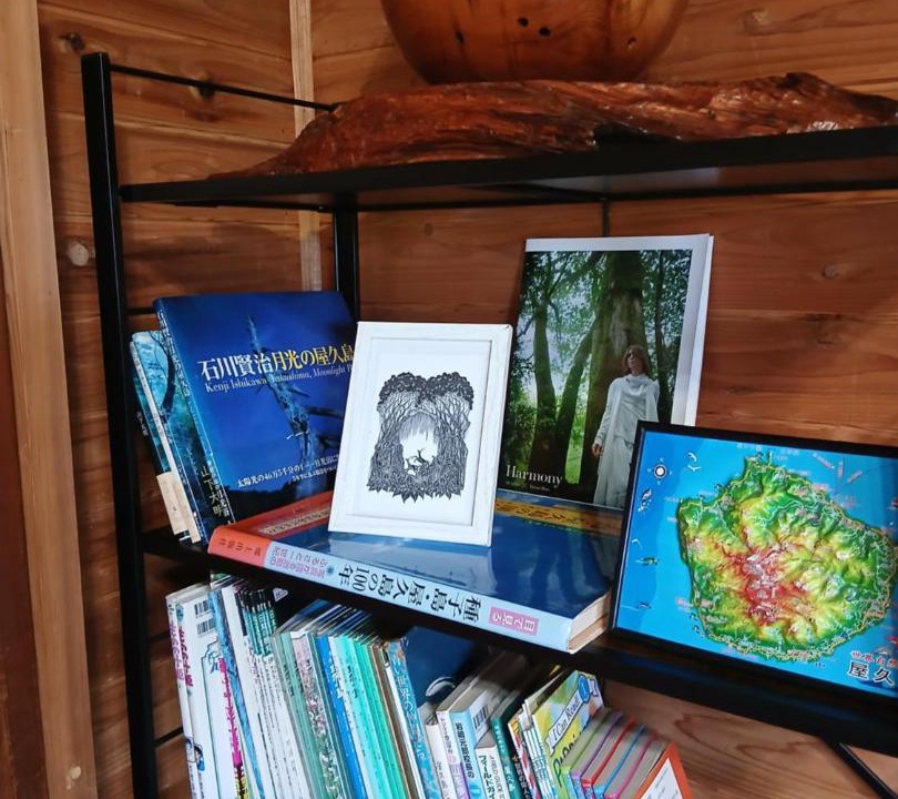 Photo of Others in Yakushima