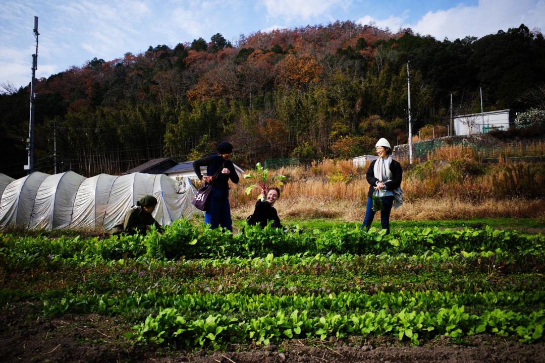 Photo of Others in Akitakata