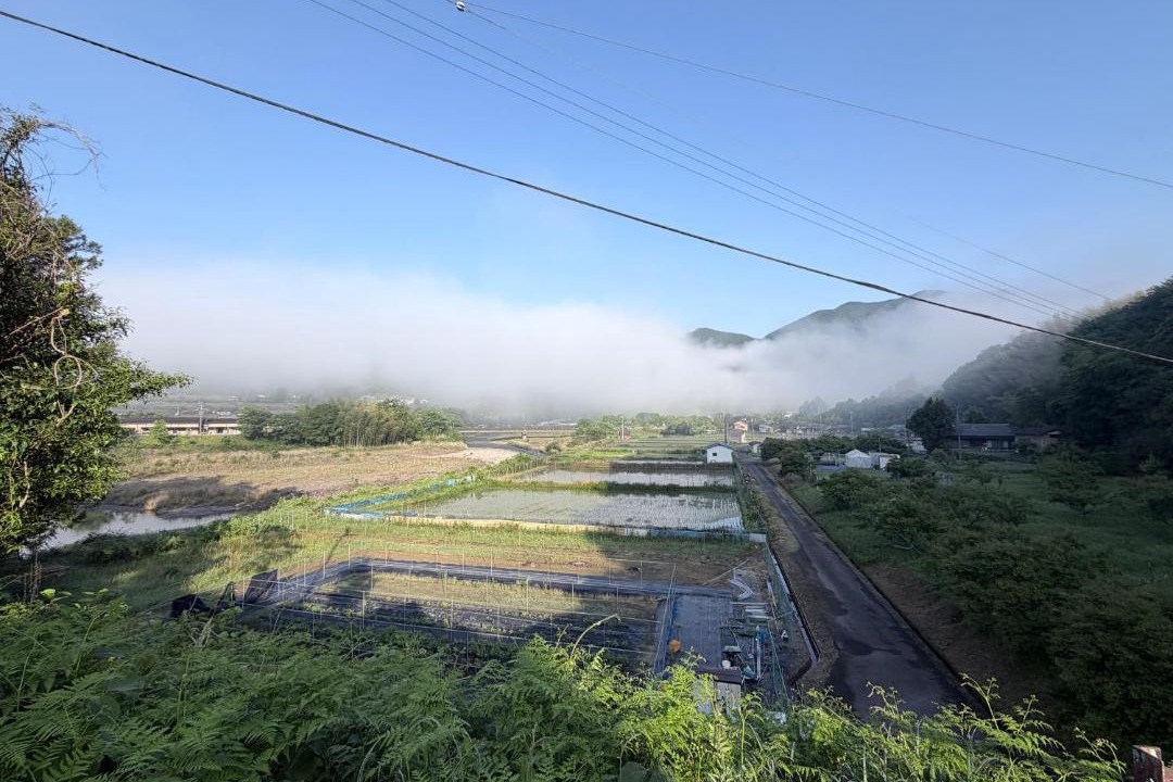 Photo of Others in Nakahechi