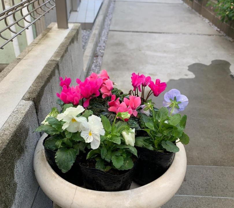 Photo of Others in Koshigoe
