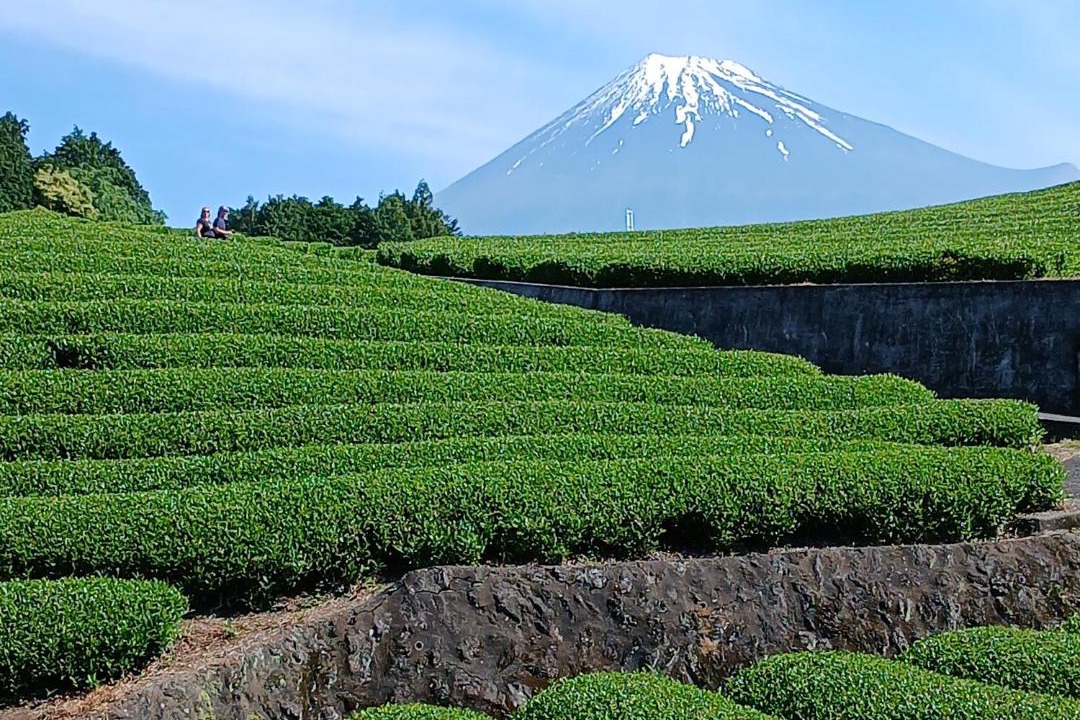 Photo of Others in Fuji