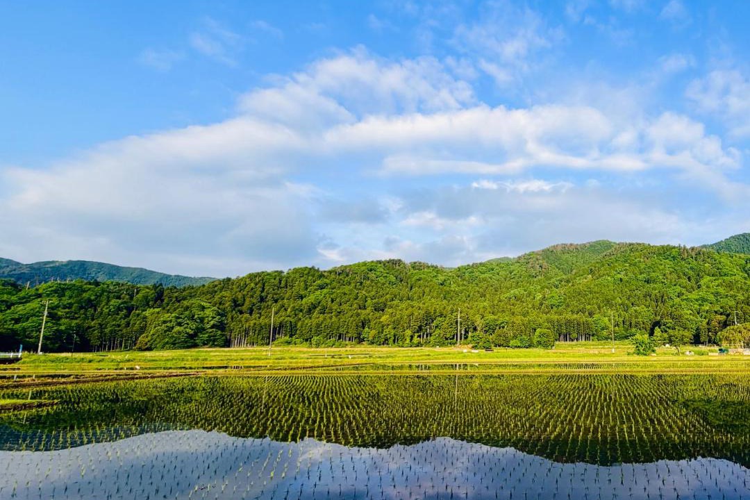 Photo of Others in Nagahama