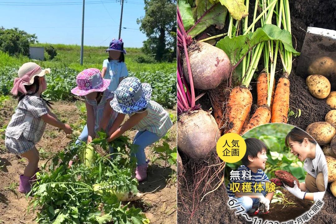 Photo of Others in Ichinomiya