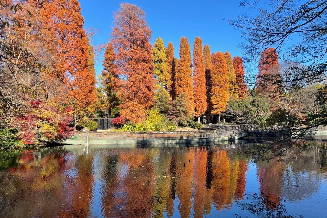 Photo of Others in Mitaka