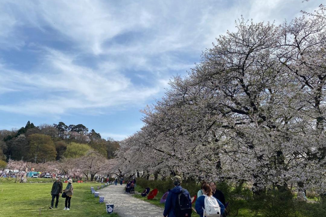 Photo of Others in Kitakami