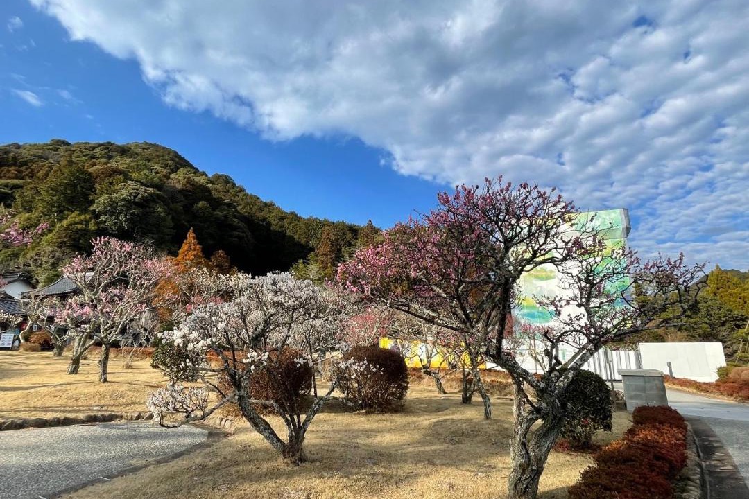 Photo of Others in Yudaonsen