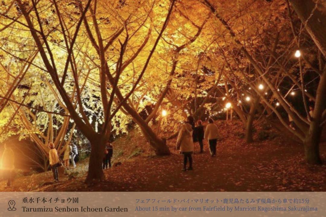 Photo of Others in Tarumizu