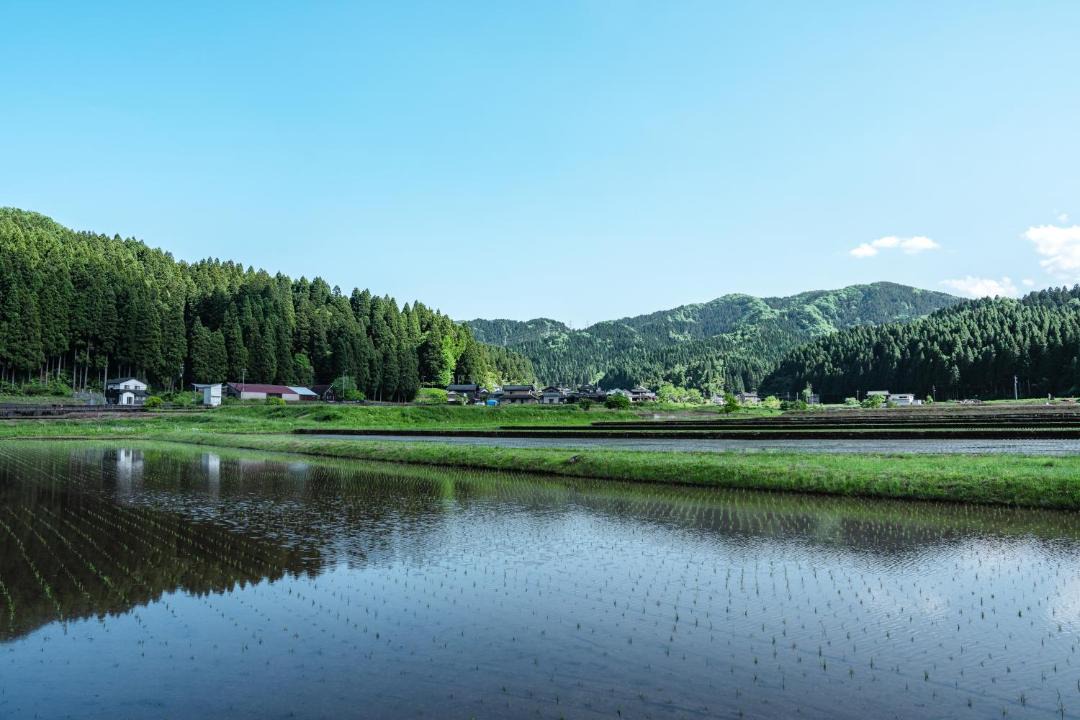 Photo of Others in Fukui
