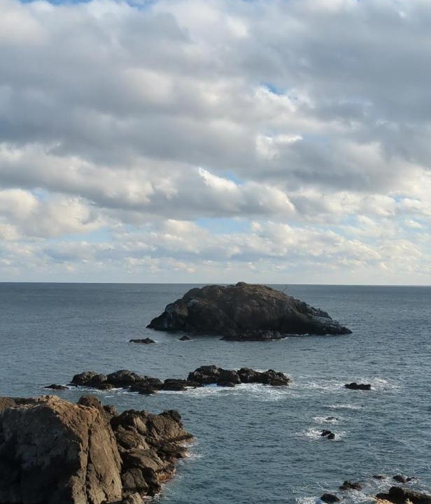 Photo of Others in Kesennuma