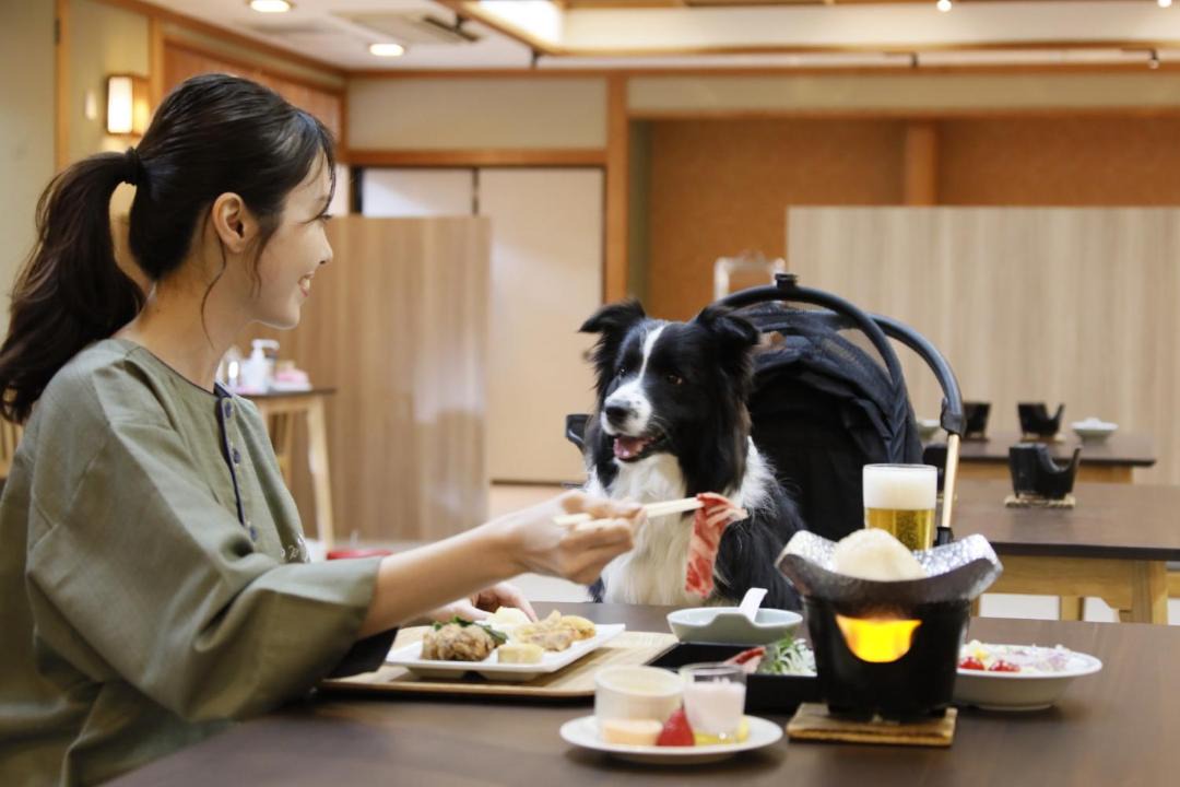Photo of Others in Shizukuishi