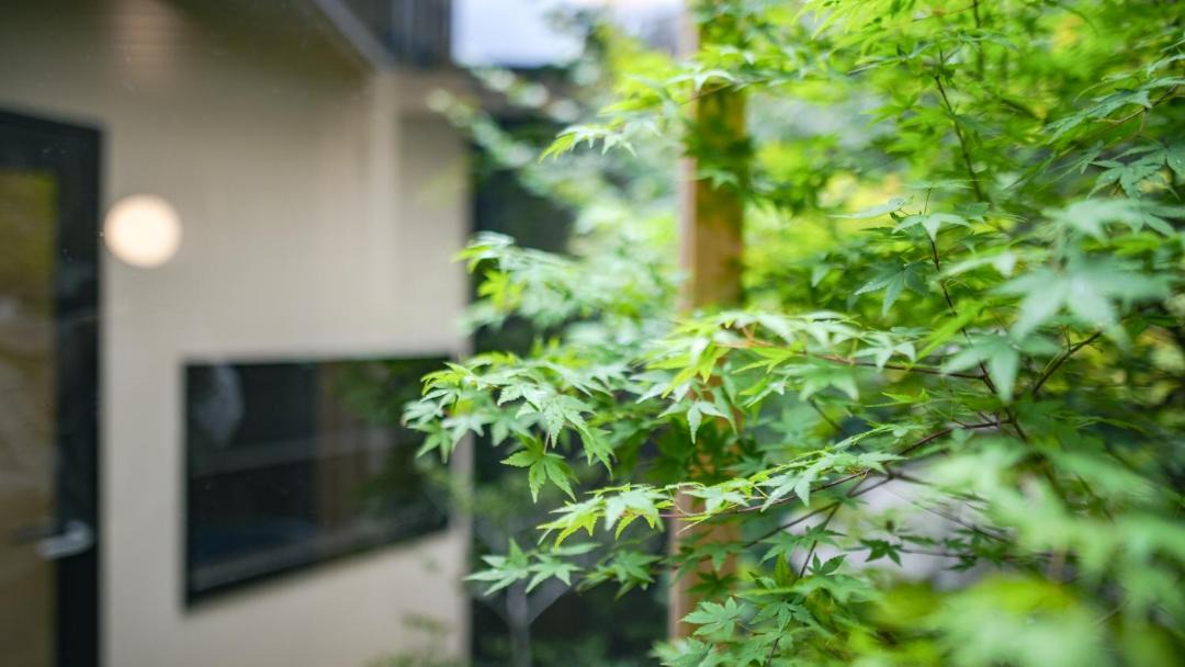 Photo of Others in Shimogyo