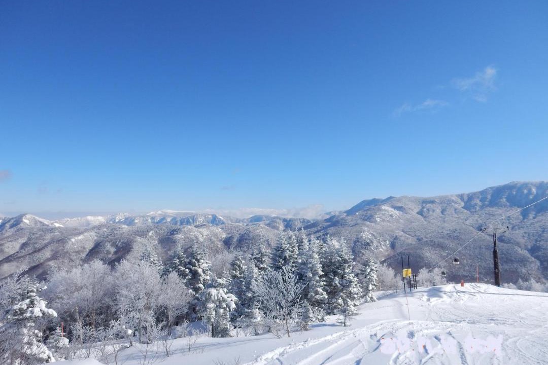Photo of Others in Shiga Highlands