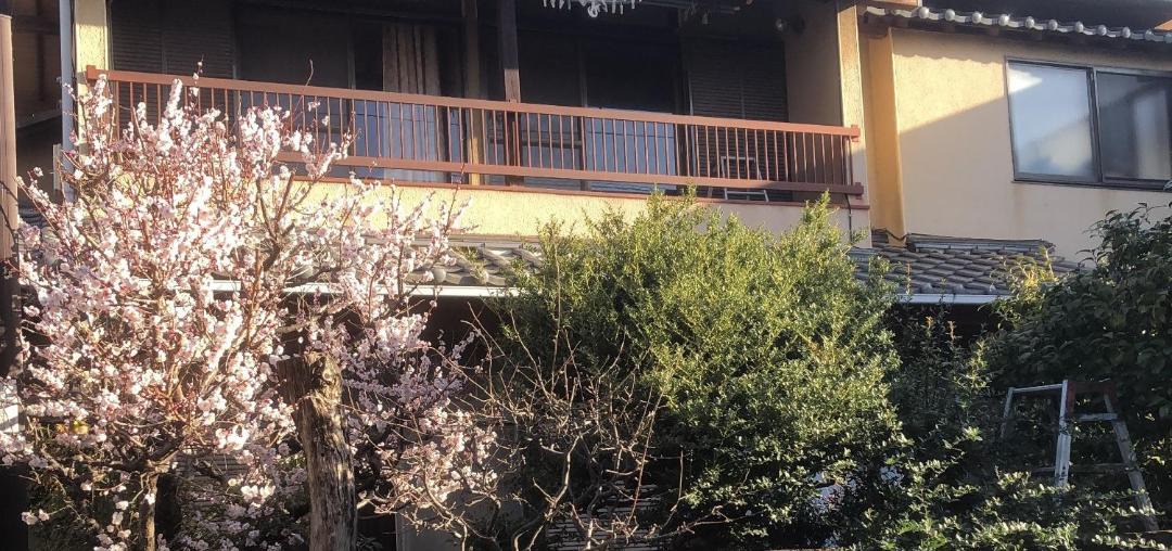 Photo of Others in Suginami