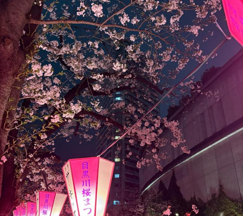Photo of Others in Ikejiri