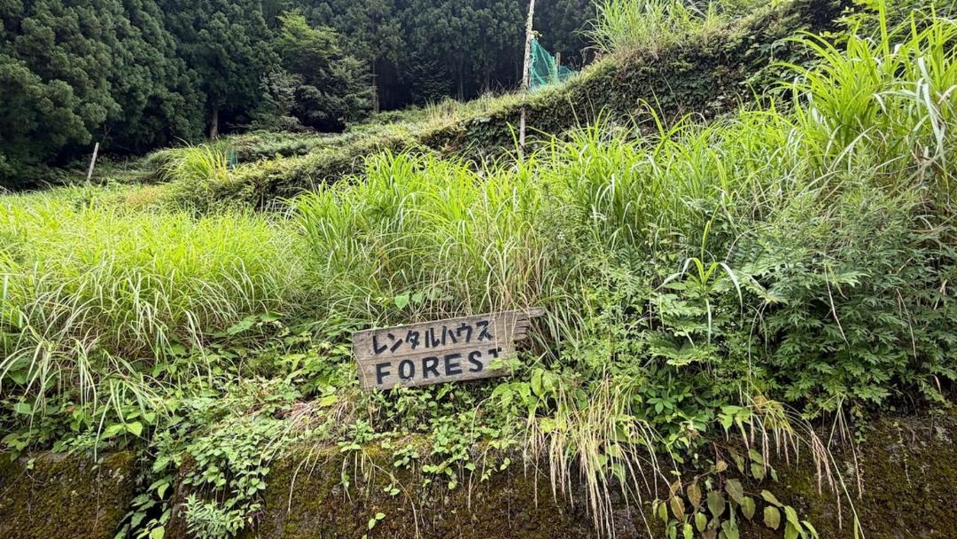 Photo of Others in Miyoshi