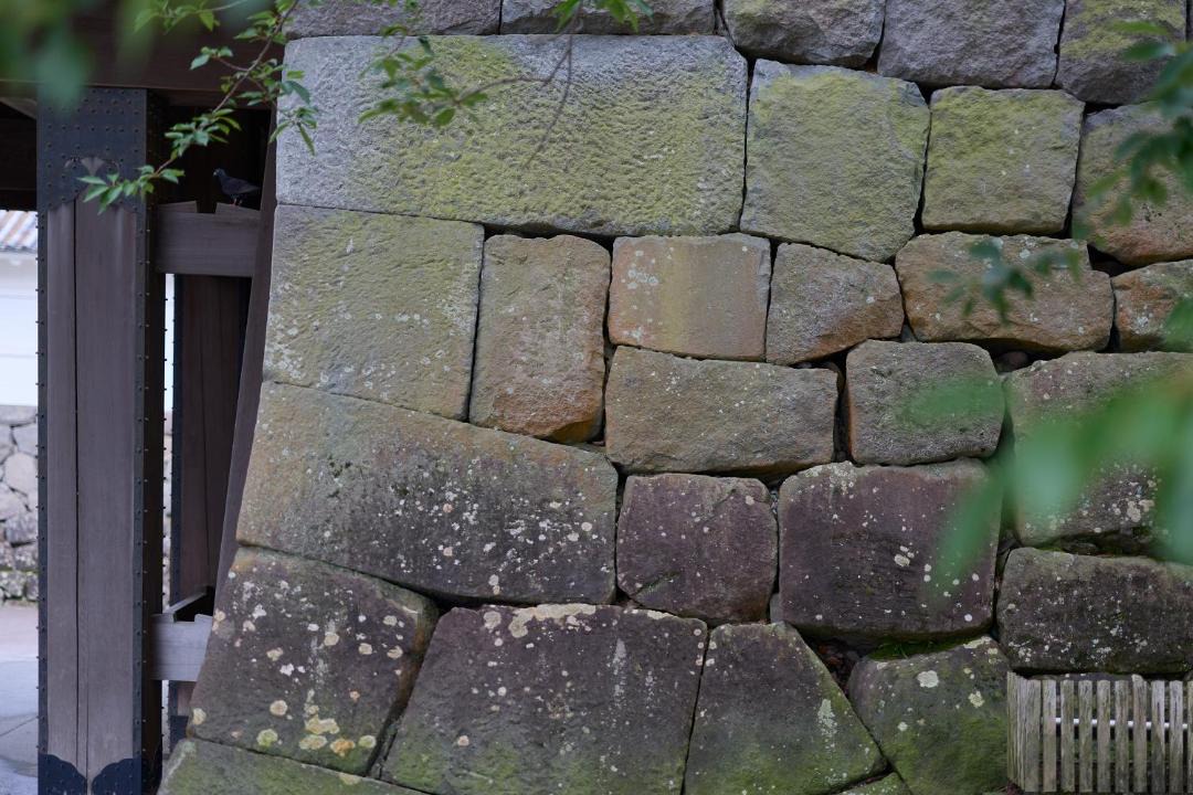 Photo of Others in Odawara