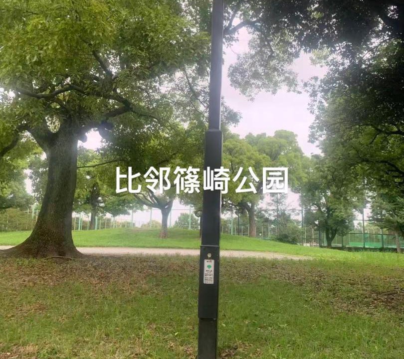 Photo of Others in Edogawa