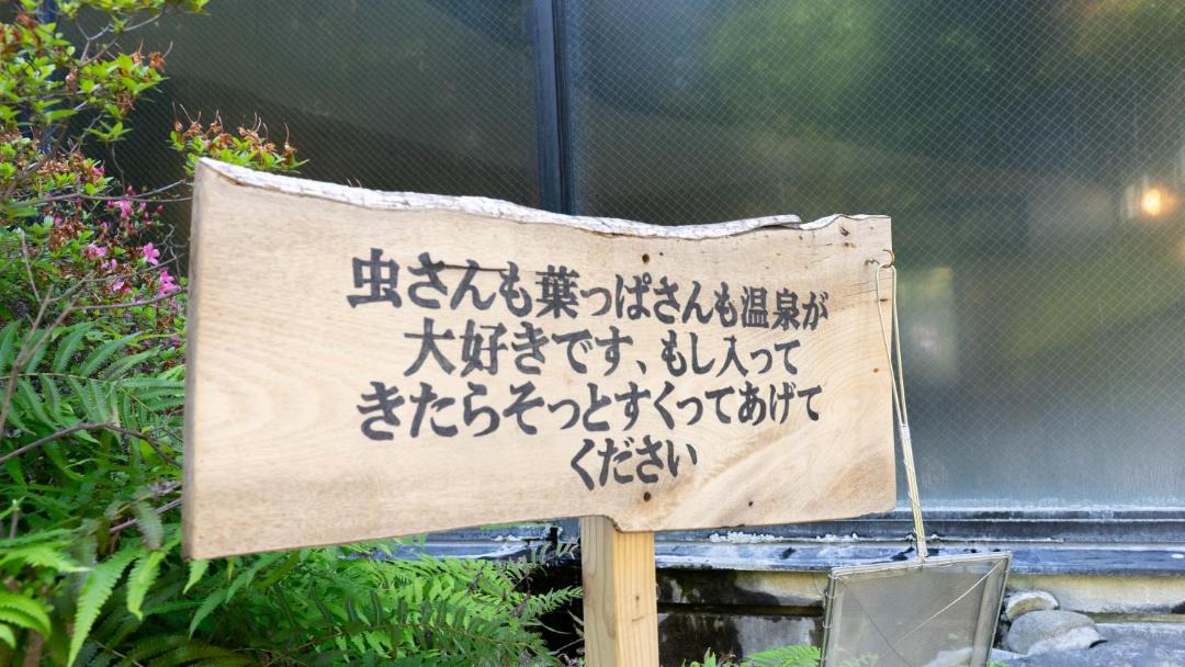 Photo of Others in Kikuchi