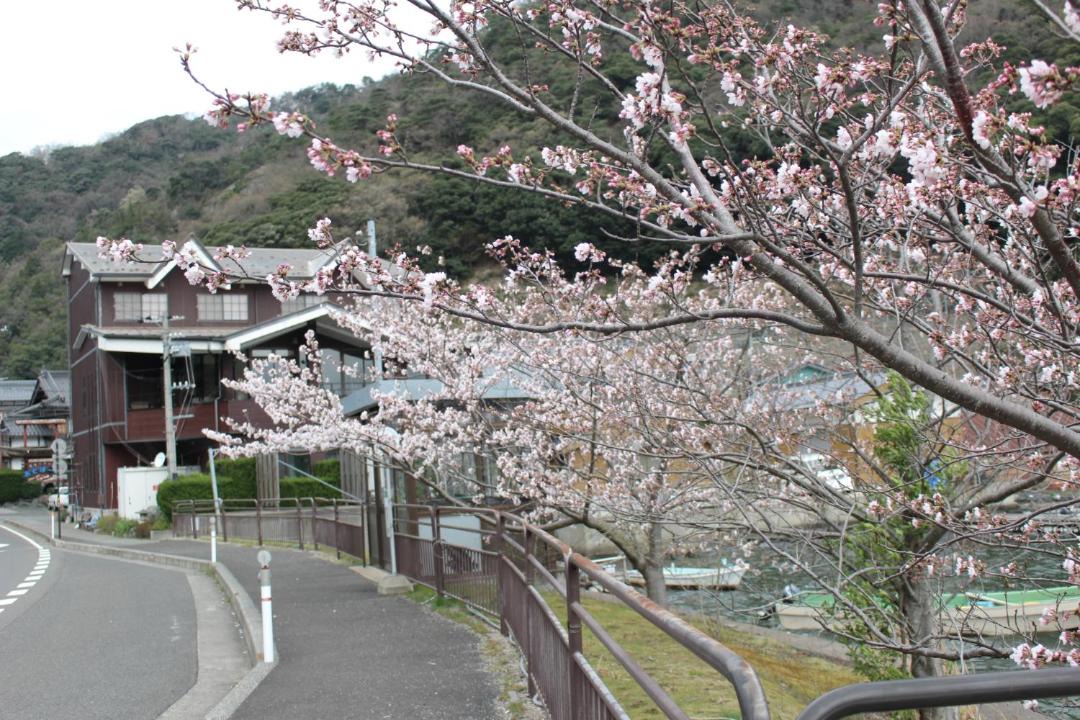 Photo of Others in Wakasa