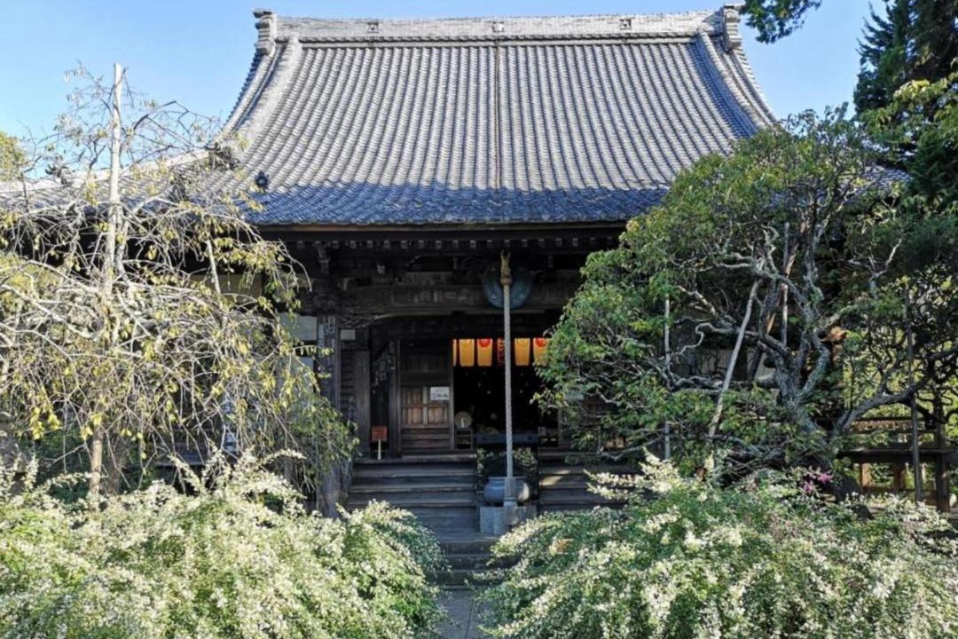 Photo of Others in Kamakura