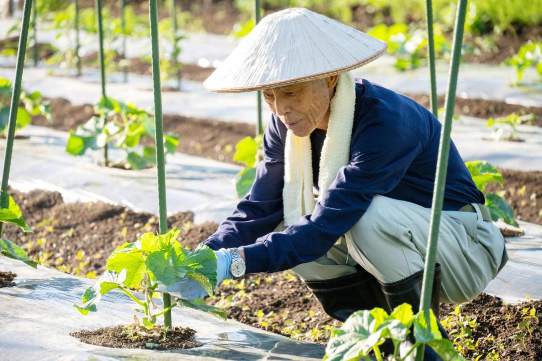 Photo of Others in Minamiuonuma