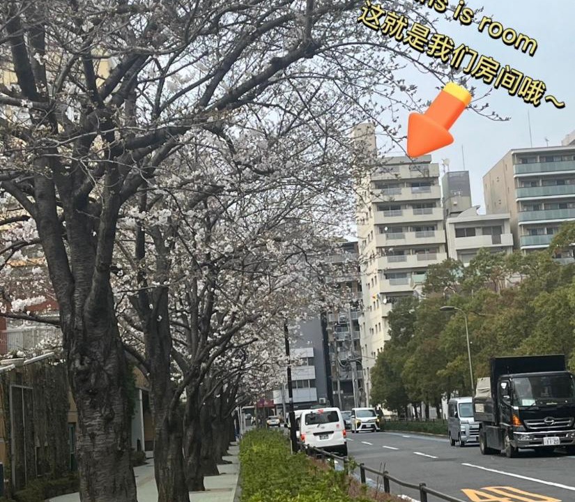 Photo of Others in Higashigotanda