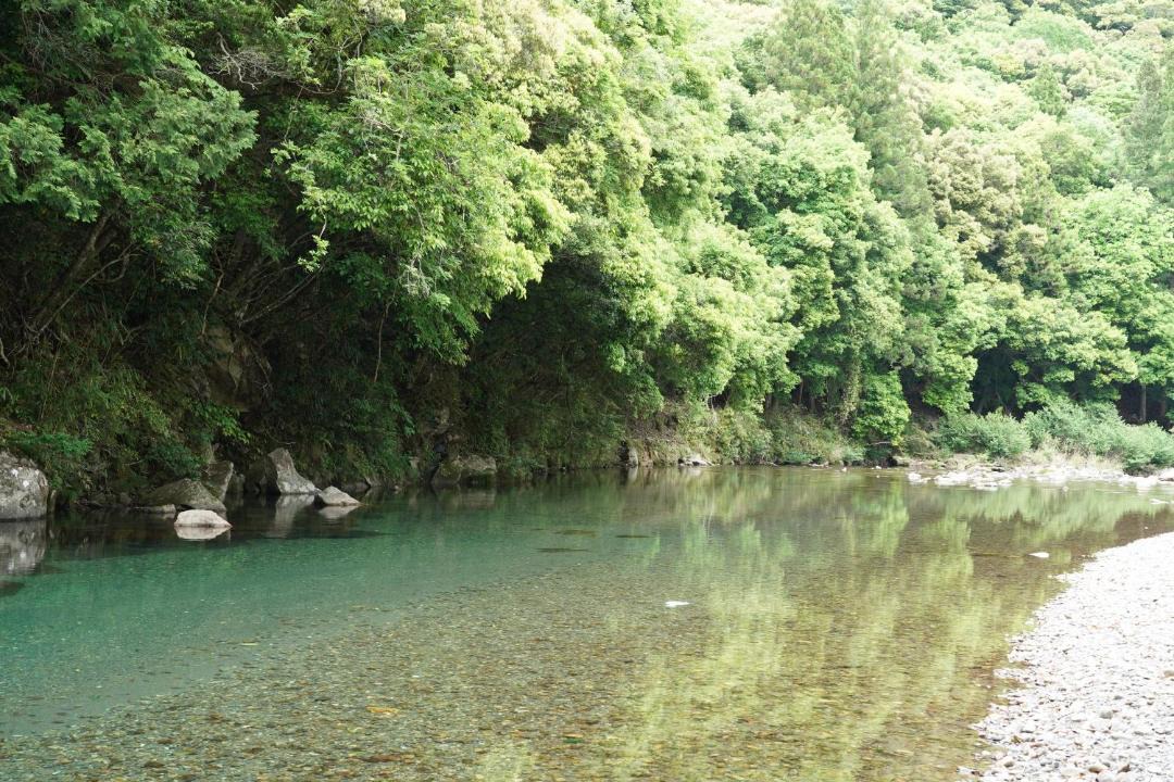 Photo of Others in Tanabe