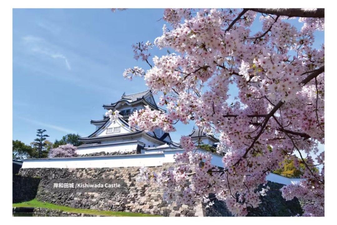 Photo of Others in Kishiwada