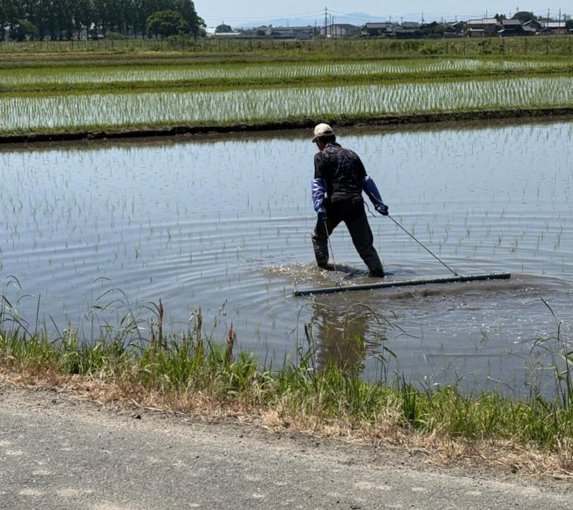 Photo of Others in Mikata-gun