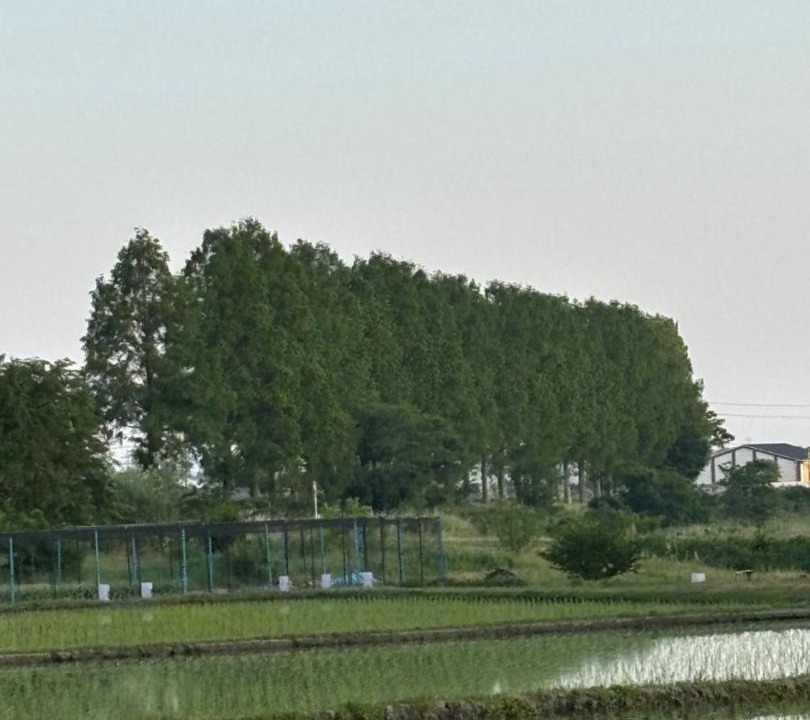 Photo of Others in Mikata-gun