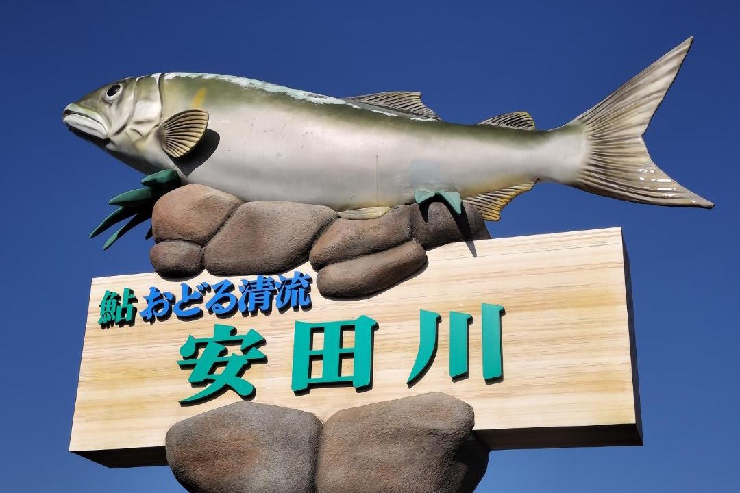 Photo of Others in Yasuda-cho