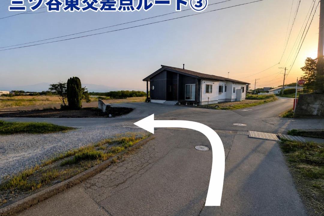 Photo of Others in Miyota