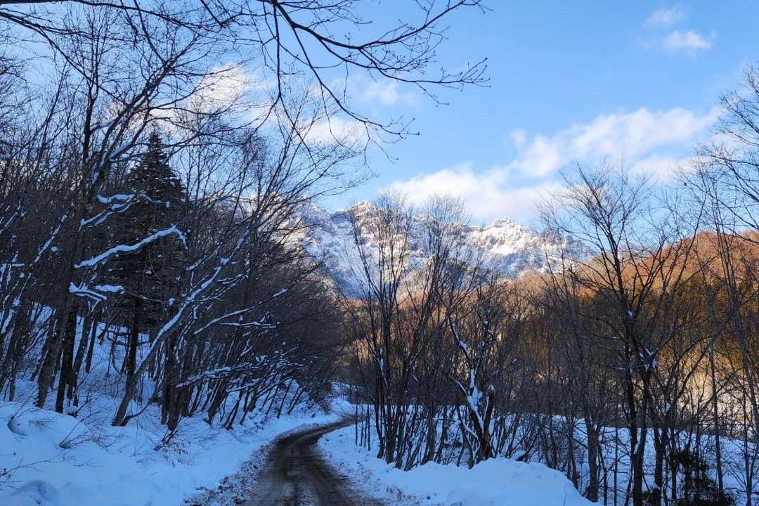 Photo of Others in Otari-mura