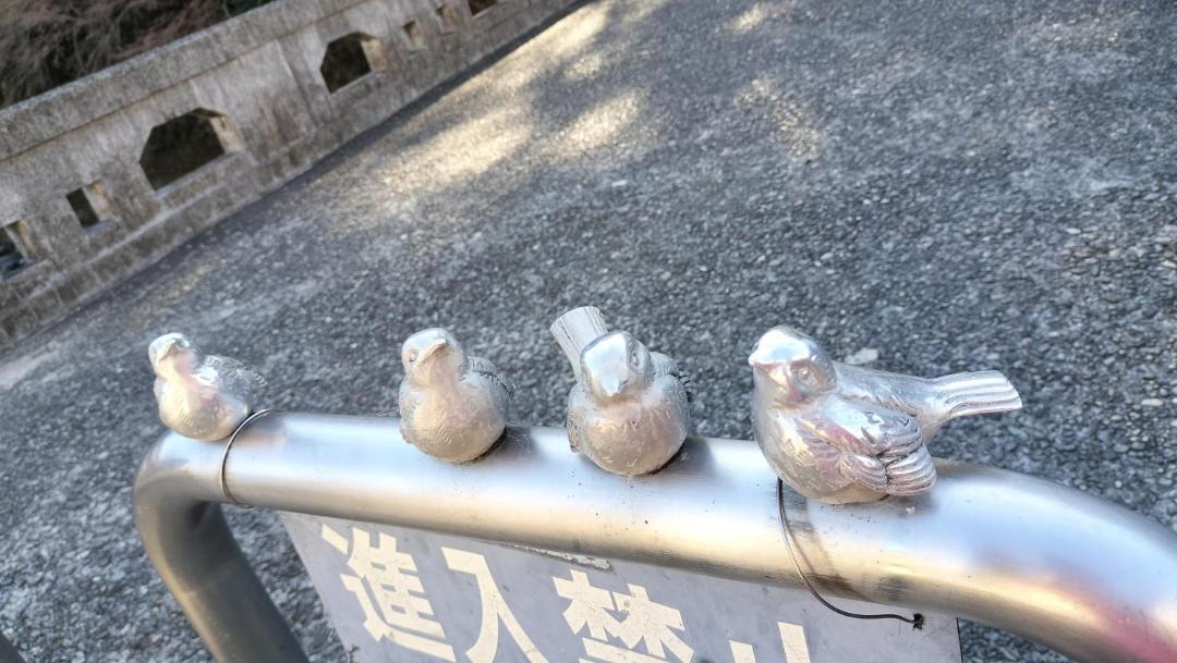 Photo of Others in Miyakami