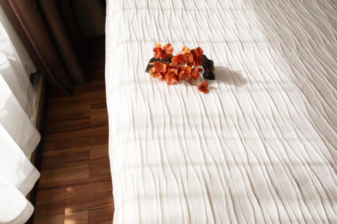 Photo of Bedroom in Higashigotanda