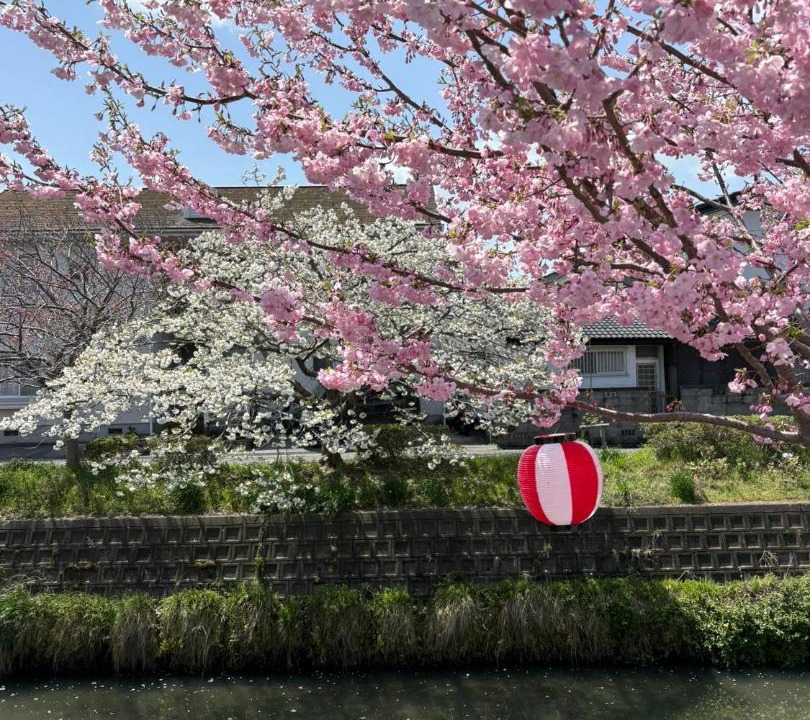 Photo of Others in Sugatani Onsen