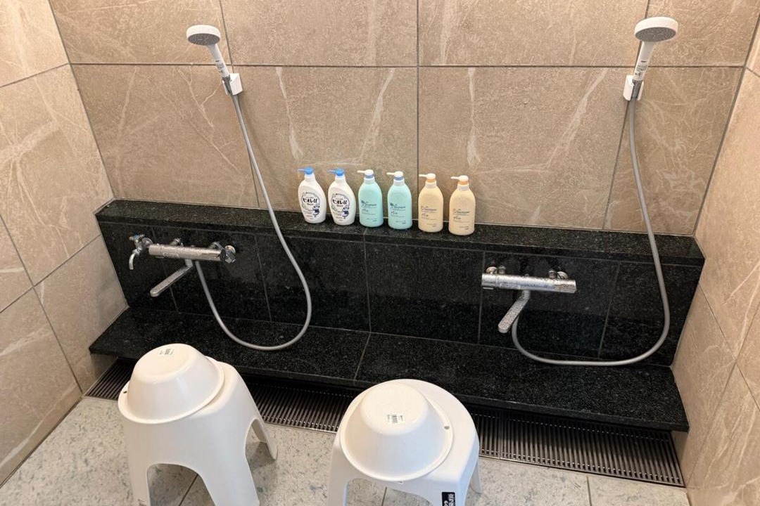 Photo of Bathroom in Yamanakako
