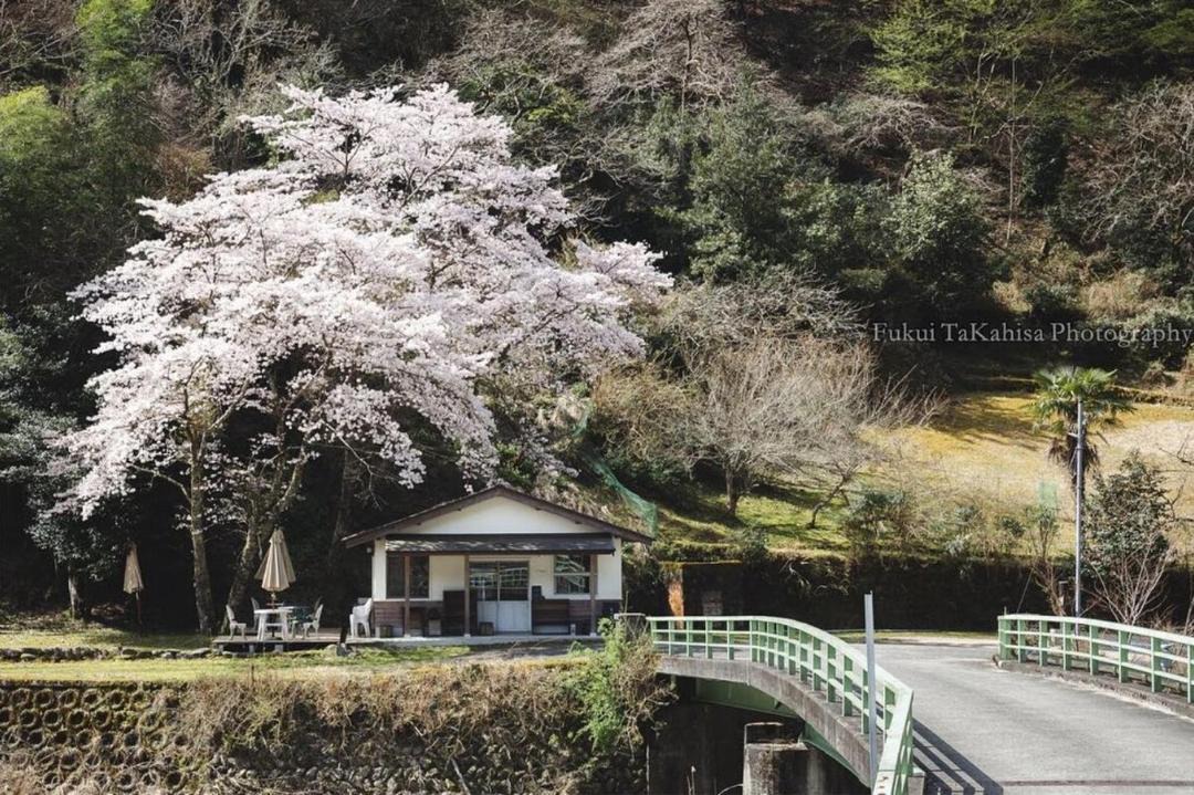 Photo of Others in Higashiyoshino