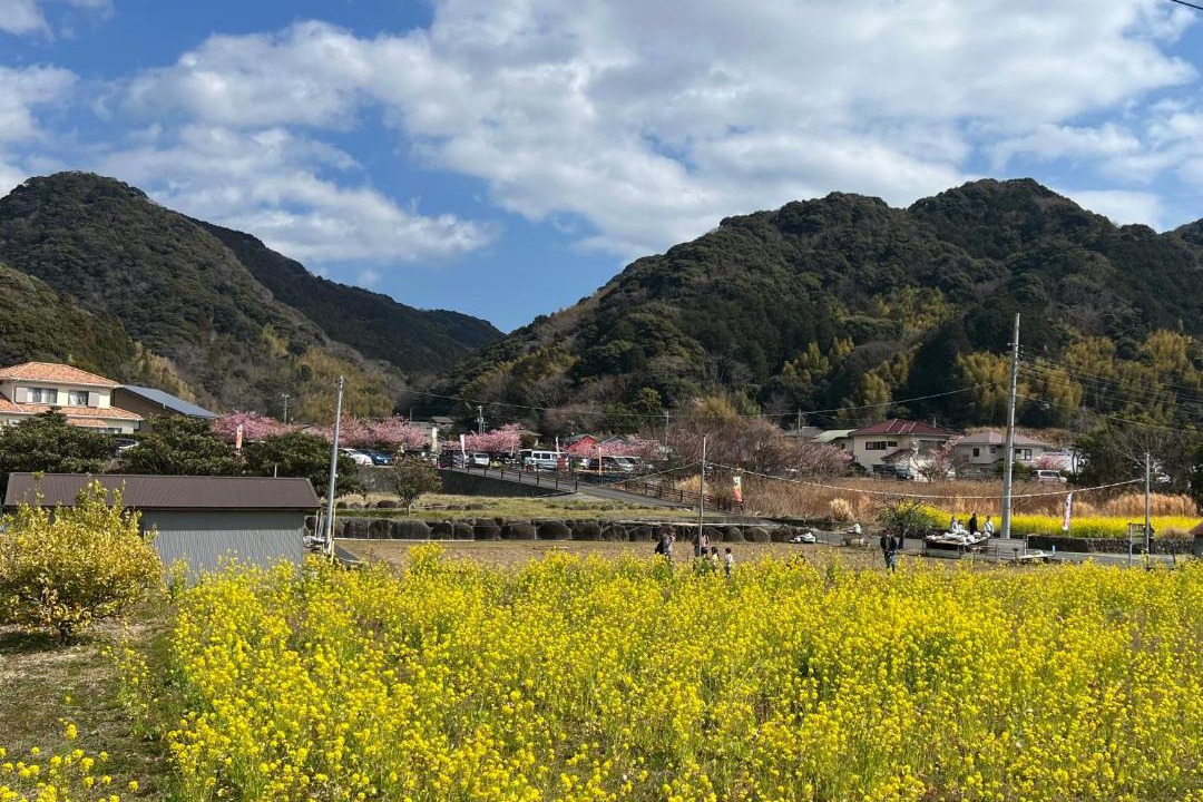 Photo of Others in Kawazu
