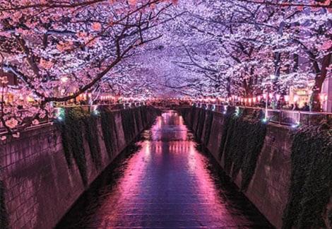 Photo of Others in Nerima