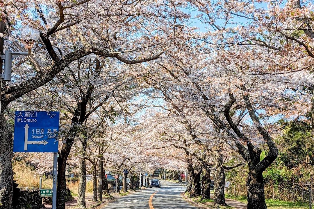 Photo of Others in Yawatano