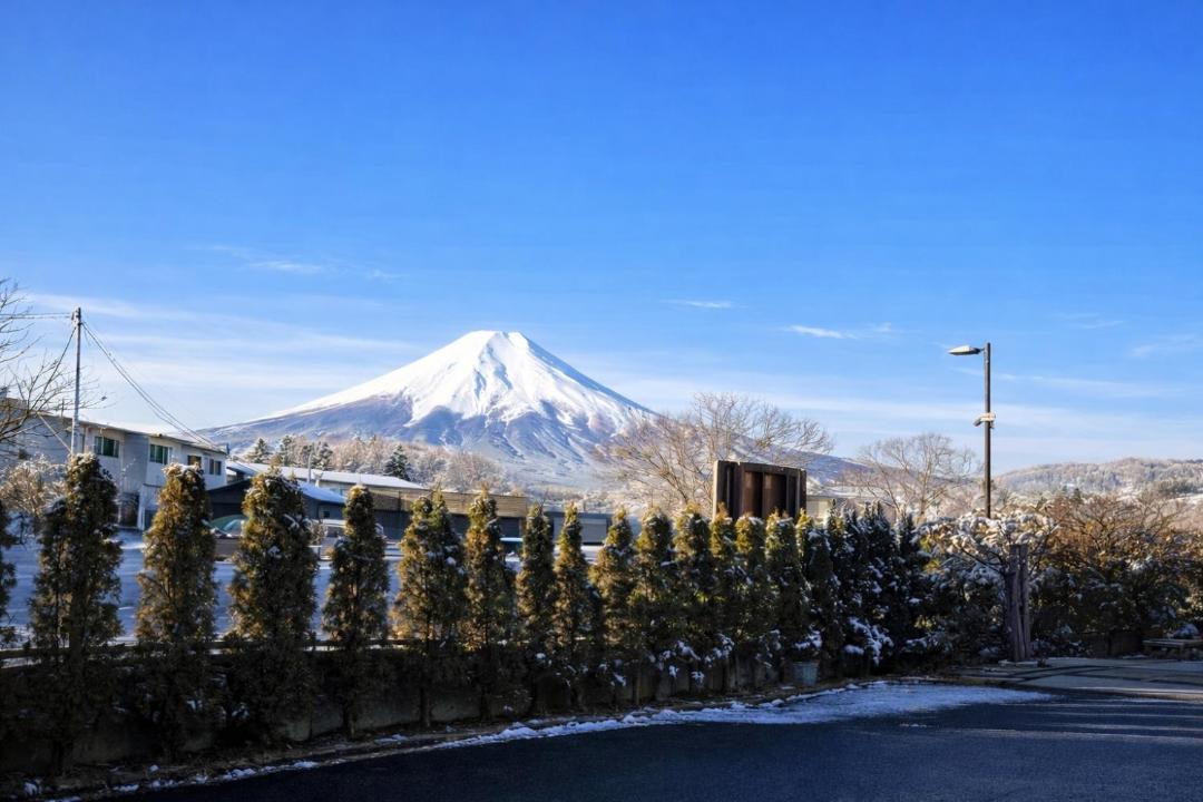 Photo of Others in Oshino