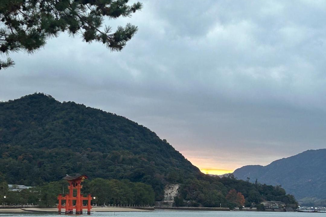 Photo of Others in Hatsukaichi