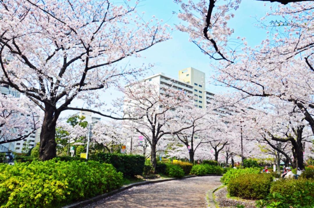 Photo of Others in Itabashi