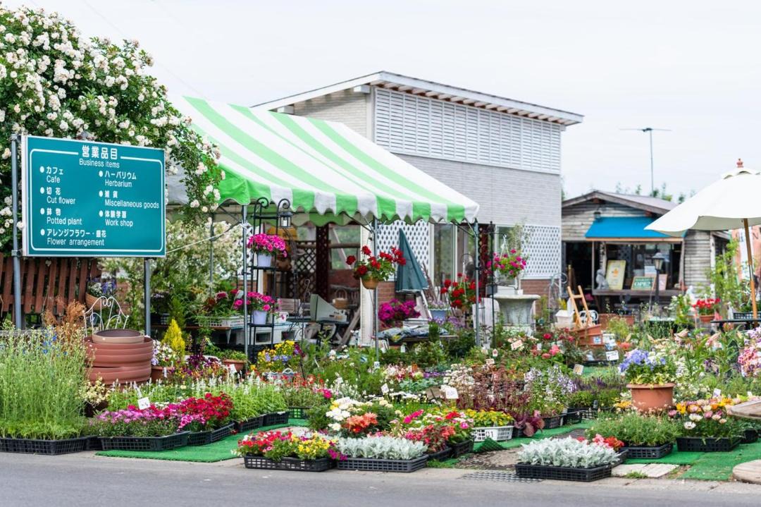 Photo of Outdoor in Hirosaki