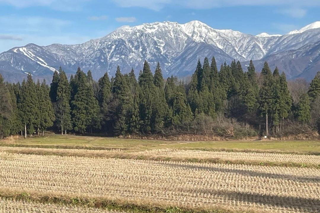 Photo of Others in Minamiuonuma