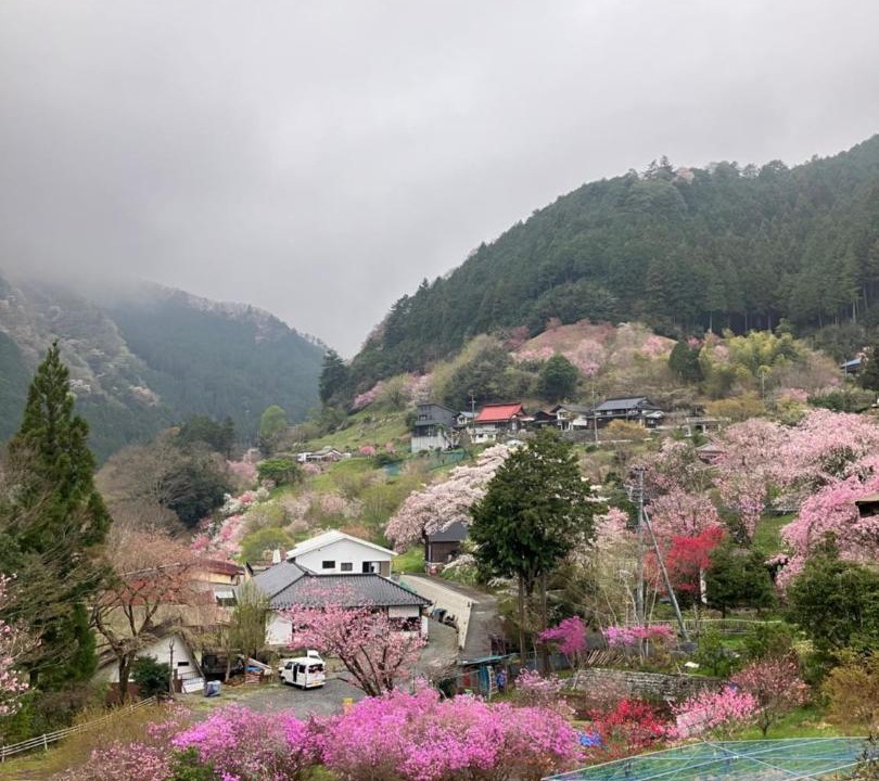 Photo of Others in Akiruno