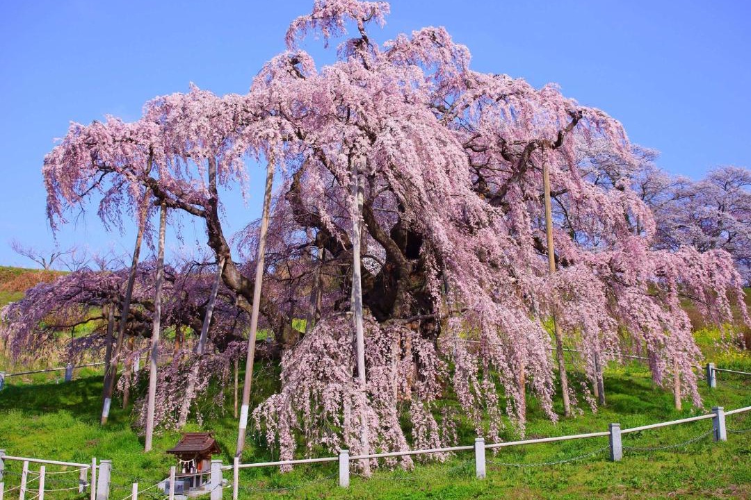 Photo of Outdoor in Kitashiobara