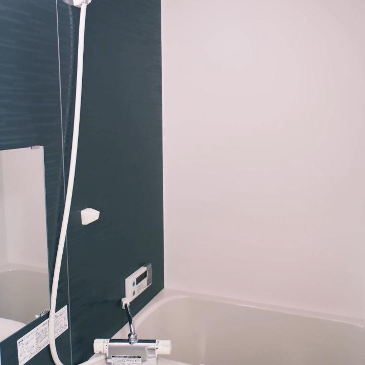 Photo of Bathroom in Minamisenba
